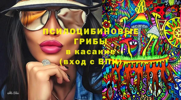 амф Инта