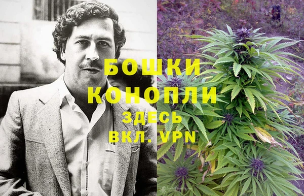 амф Инта