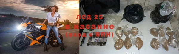амф Инта