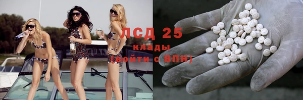 амф Инта