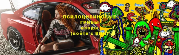 амф Инта