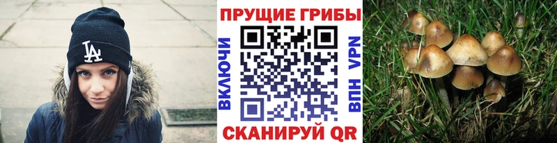 Галлюциногенные грибы Magic Shrooms Купить где Дальнереченск